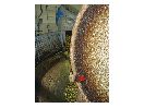 thumbnail14.jpg