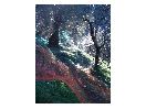 thumbnail4.jpg